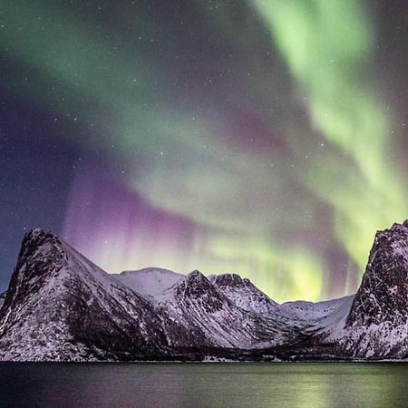 Senja Living Stonglandseidet Exterior foto