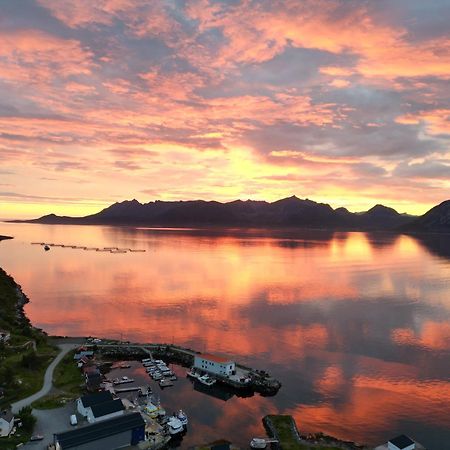 Senja Living Stonglandseidet Exterior foto