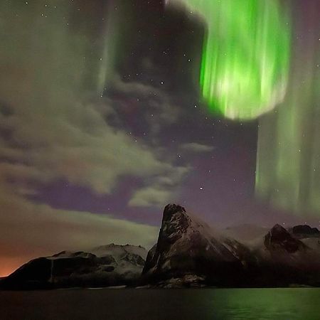 Senja Living Stonglandseidet Exterior foto