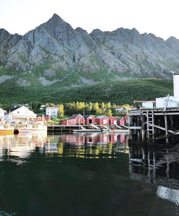 Senja Living Stonglandseidet Exterior foto