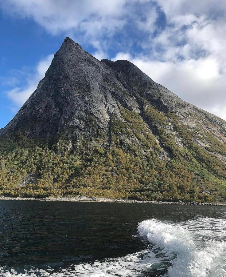 Senja Living Stonglandseidet Exterior foto