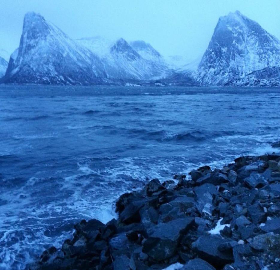 Senja Living Stonglandseidet Exterior foto