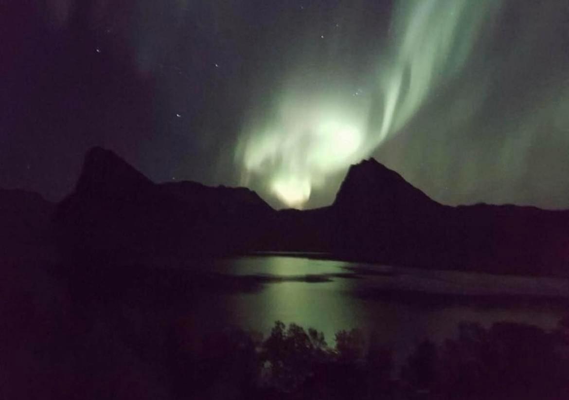 Senja Living Stonglandseidet Exterior foto