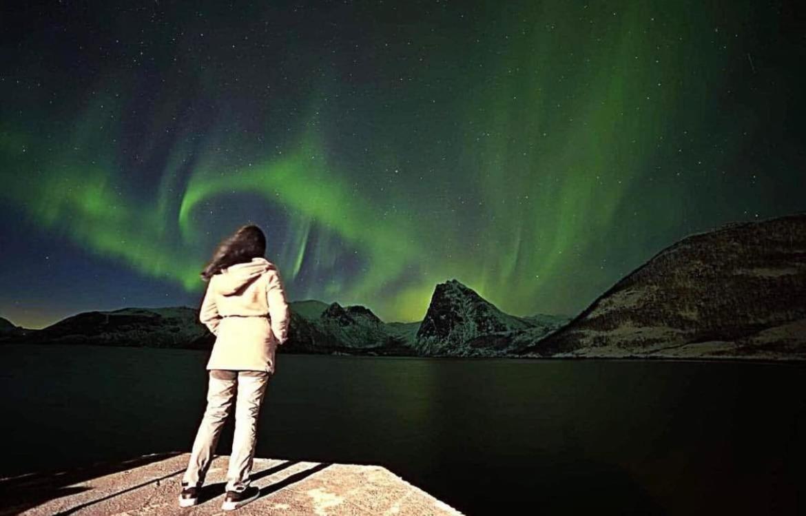Senja Living Stonglandseidet Exterior foto