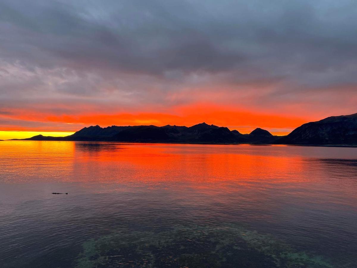 Senja Living Stonglandseidet Exterior foto