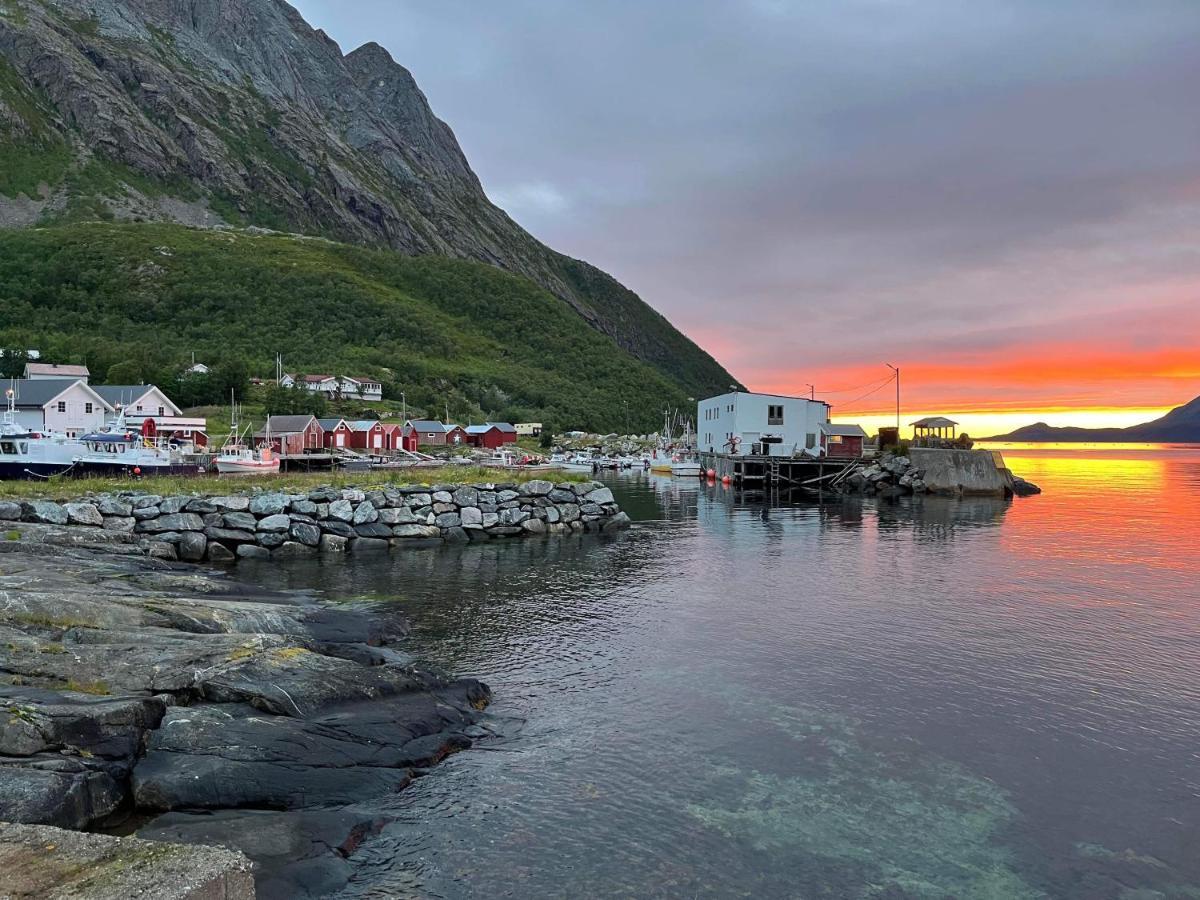 Senja Living Stonglandseidet Exterior foto