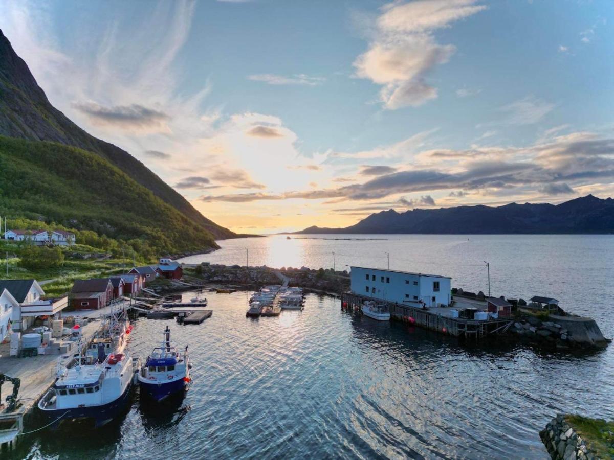 Senja Living Stonglandseidet Exterior foto