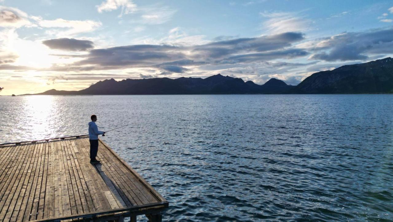 Senja Living Stonglandseidet Exterior foto