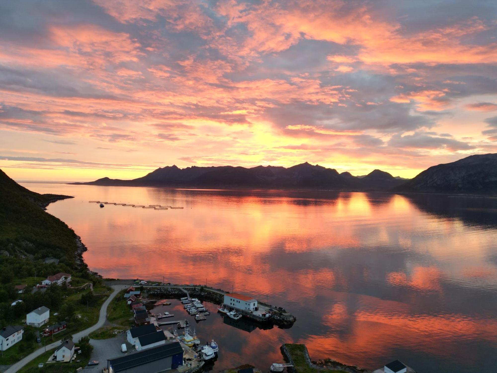 Senja Living Stonglandseidet Exterior foto